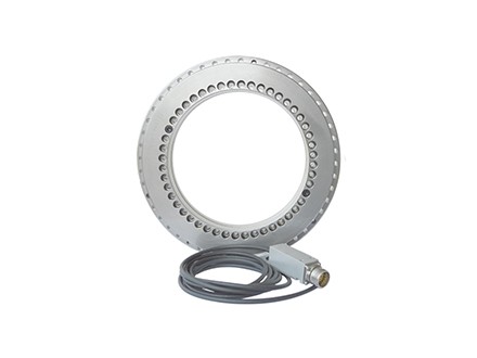 YRTMray雷竞技入口